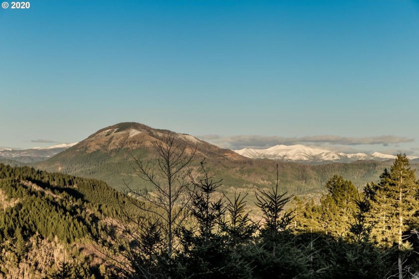 Bring your plans and build your dream home on the top of Crown - photo 10