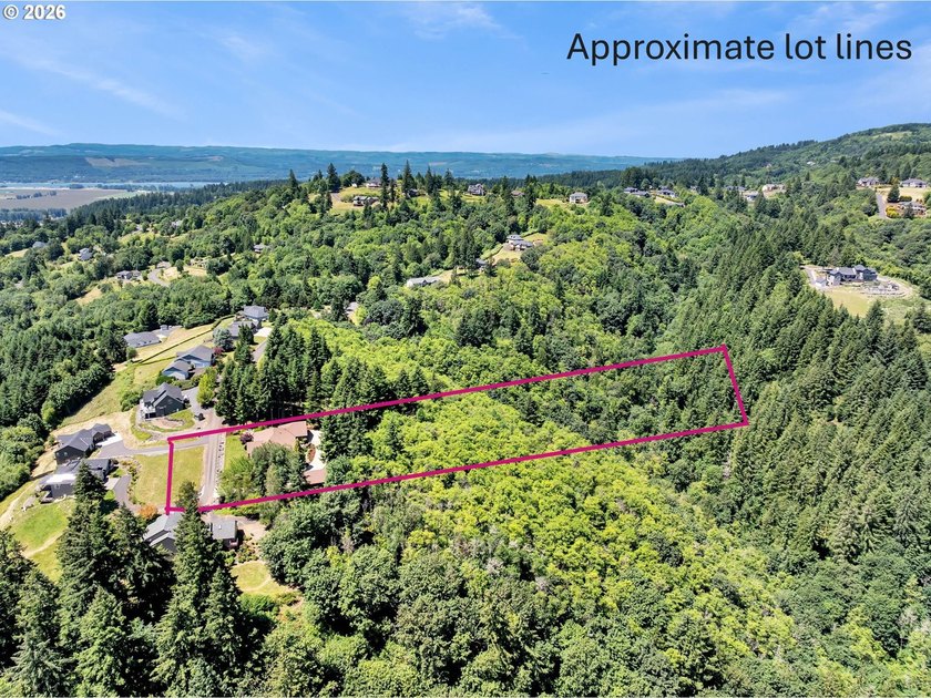 The incredible views of Mt Hood and the Lewis River from the - photo 46