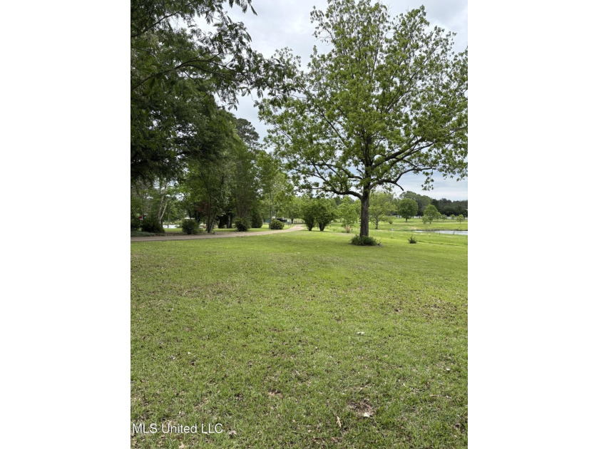 Southern Living! Enter the gated, curving driveway around a - photo 7