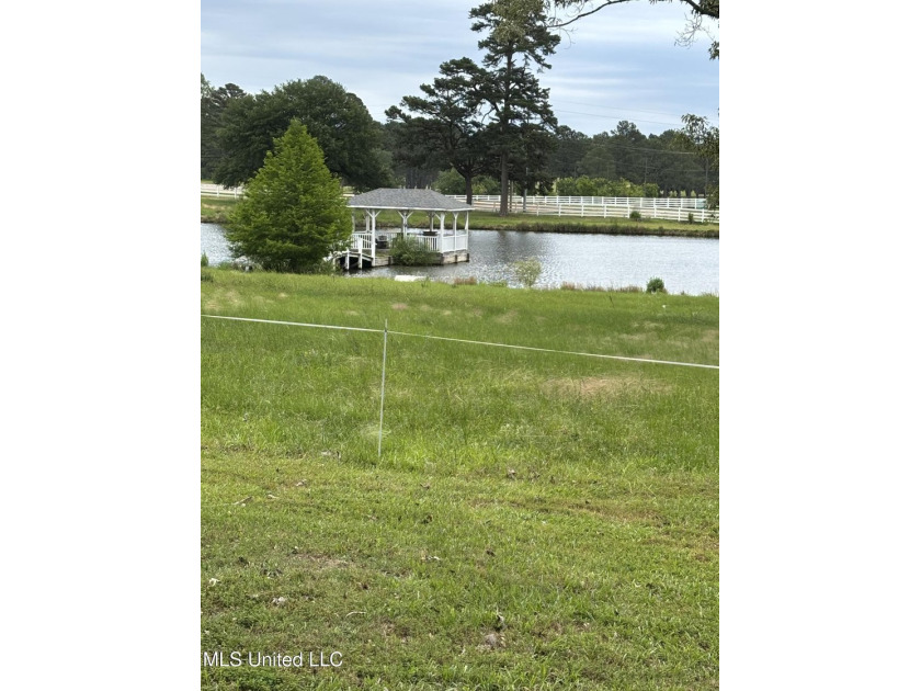 Southern Living! Enter the gated, curving driveway around a - photo 8