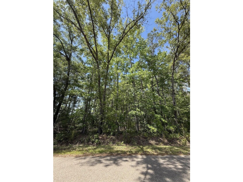 This is one listing you don't want to pass by. This 37.3 acre - photo 3