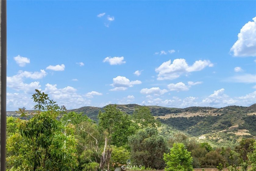 Welcome to this beautiful home in the highly sought after Oasis - photo 17