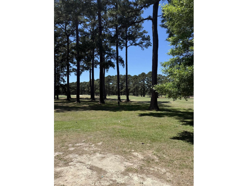 Charming Condo with Golf Course Views - Just Minutes to the - photo 6