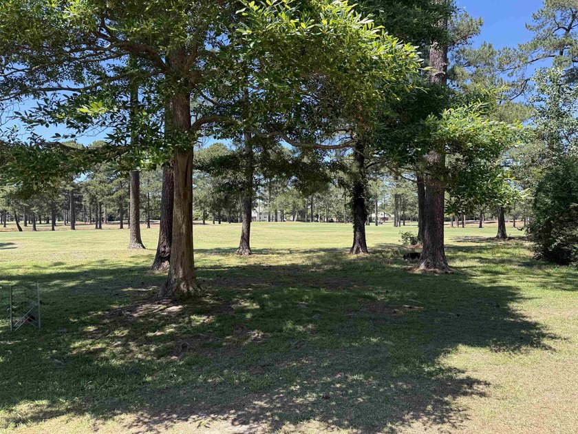Charming Condo with Golf Course Views - Just Minutes to the - photo 7