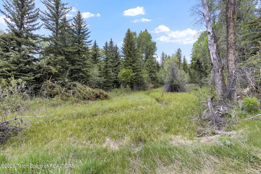 Rare opportunity to own 5.58 acres on the coveted Westbank along - photo 13