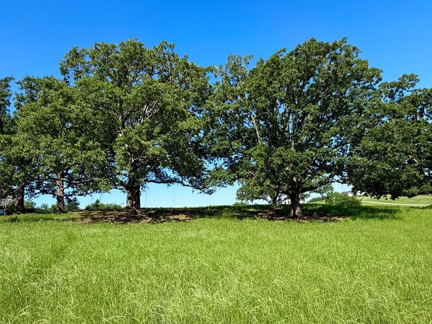 Perched on an elevated homesite in the highly sought-after - photo 7