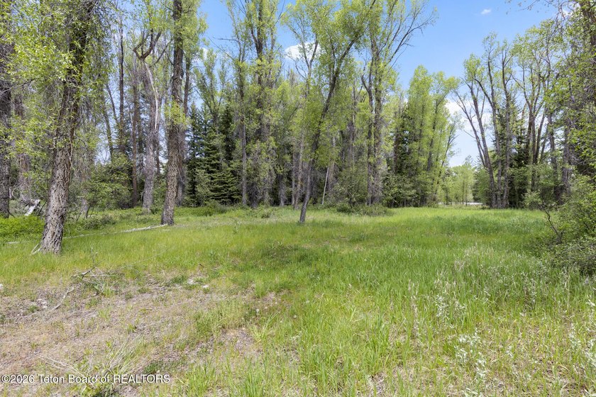 Rare opportunity to own 5.58 acres on the coveted Westbank along - photo 17
