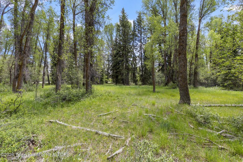 Rare opportunity to own 5.58 acres on the coveted Westbank along - photo 20
