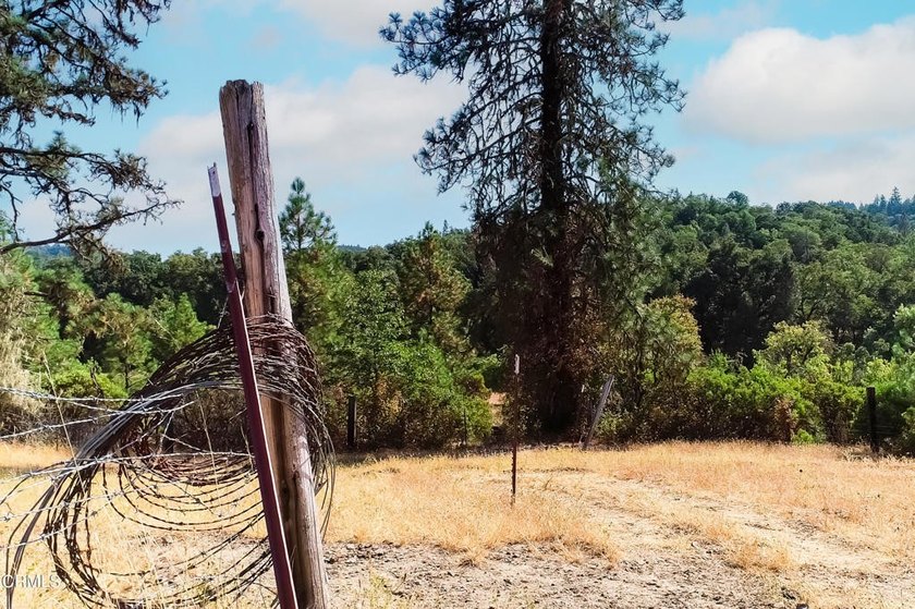 18300 Walker Rd - photo 22