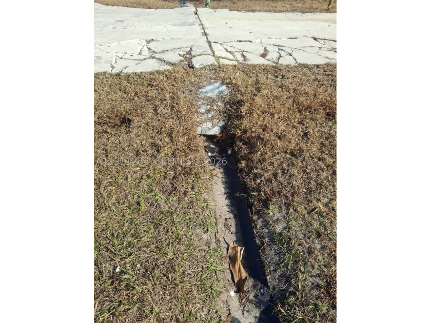 Cash buyers ONLY! House needs considerable TLC. There is $22,000 - photo 11