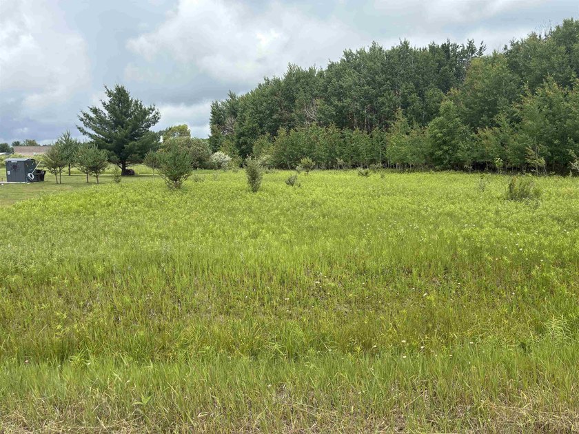 Come check out this great camping or building lot on the east - photo 2