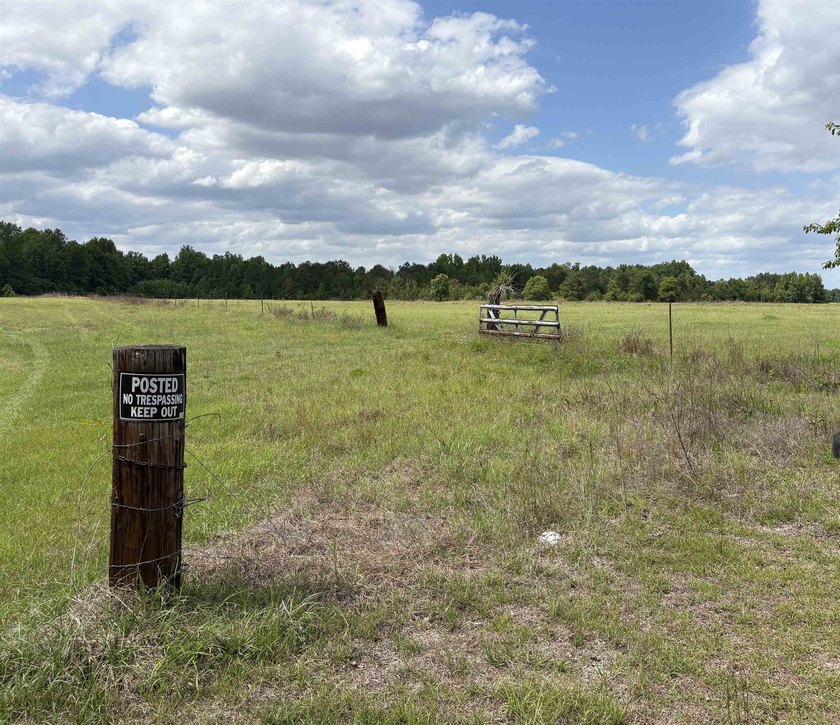 Beautiful open 17+/- acre hayfield or pasture, partially fenced - photo 3