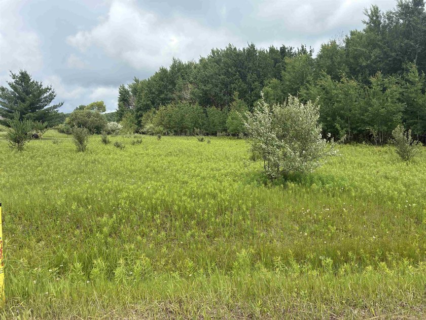 Come check out this great camping or building lot on the east - photo 3