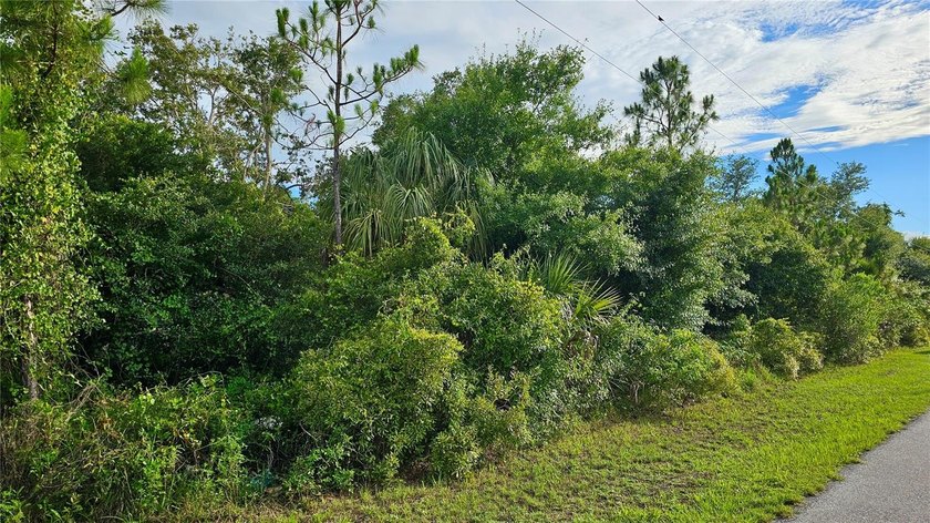 Build your dream home on this partially cleared lot in beautiful - photo 8