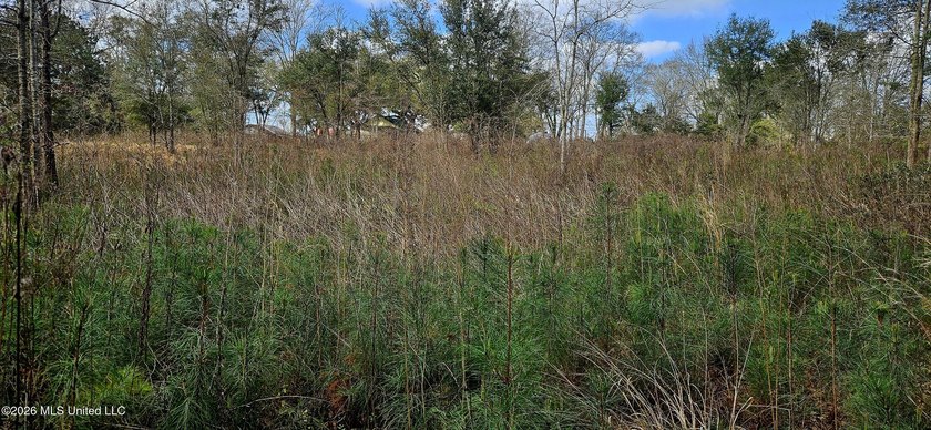 Prime Commercial or Residential Opportunity in Poplarville! This - photo 12
