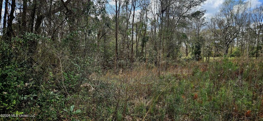 Prime Commercial or Residential Opportunity in Poplarville! This - photo 13