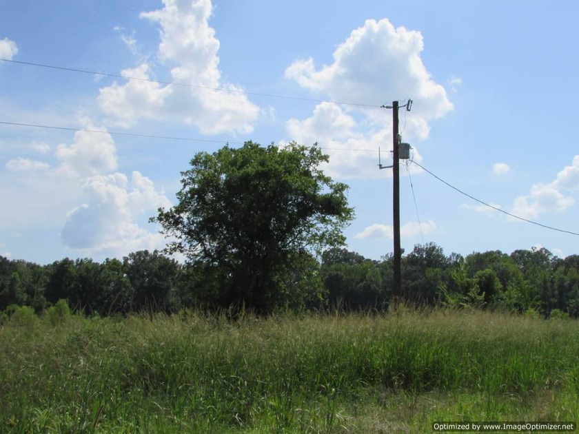 72.5 acres of open pastureland with dirt work started for a lake - photo 2