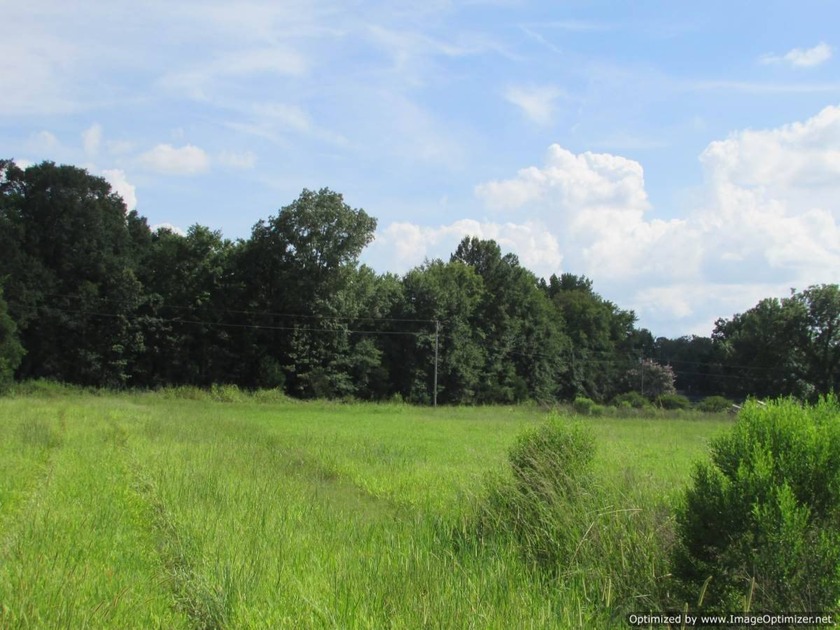 72.5 acres of open pastureland with dirt work started for a lake - photo 6