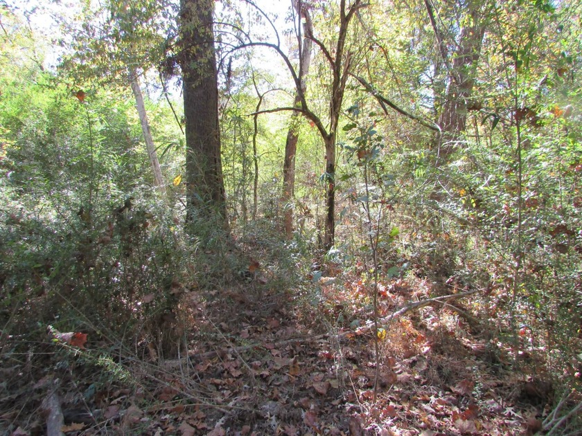 72.5 acres of open pastureland with dirt work started for a lake - photo 9