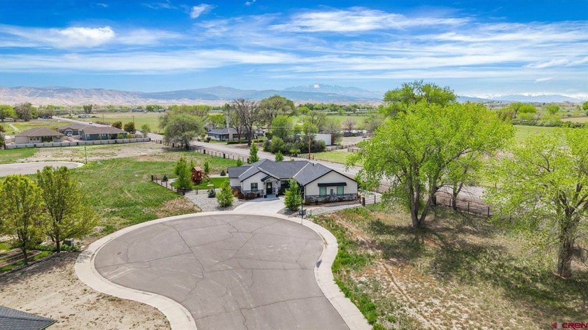 Located in the highly sought-after The Bridges community, this - photo 37