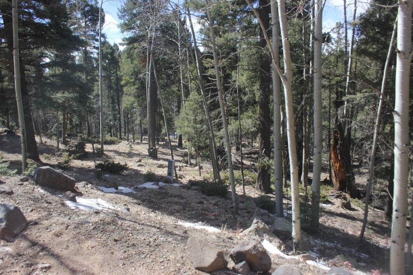 Great spot to add your very own spot in the mountains. .87 of an - photo 2