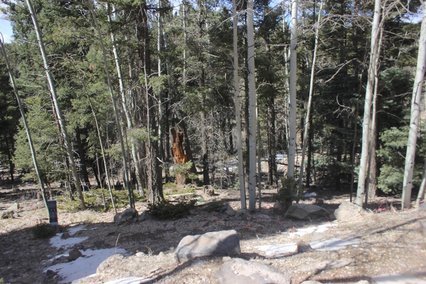 Great spot to add your very own spot in the mountains. .87 of an - photo 3