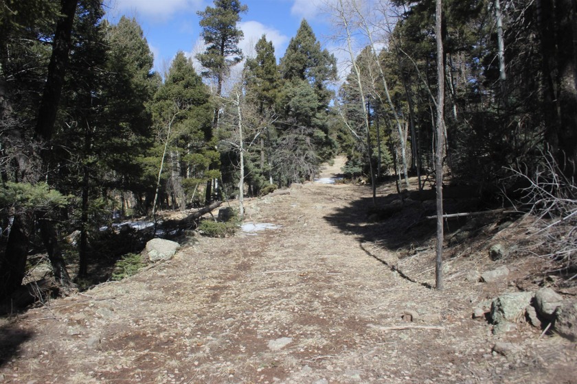 Great spot to add your very own spot in the mountains. .87 of an - photo 6