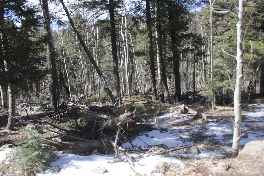 Great spot to add your very own spot in the mountains. .87 of an - photo 8