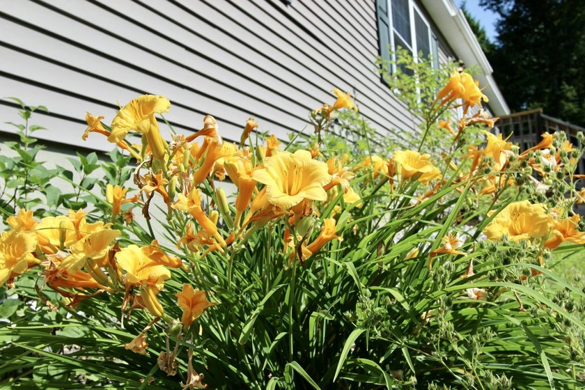 Welcome to 89 Boot Cove Lane, where privacy, comfort, and - photo 19