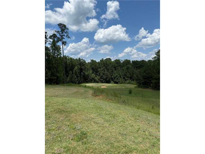 18-Hole Golf Course Opportunity - Point University Golf Club 221 - photo 24