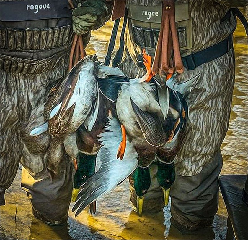 It's almost unheard of to find solid duck, deer, AND turkey - photo 16