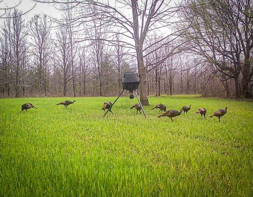 It's almost unheard of to find solid duck, deer, AND turkey - photo 17