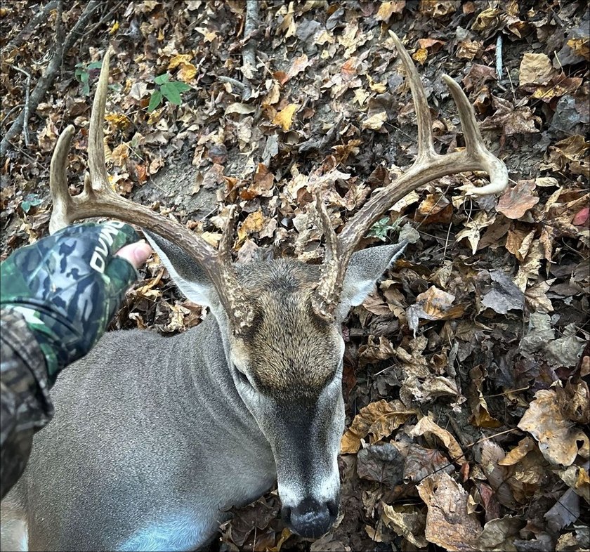 It's almost unheard of to find solid duck, deer, AND turkey - photo 21