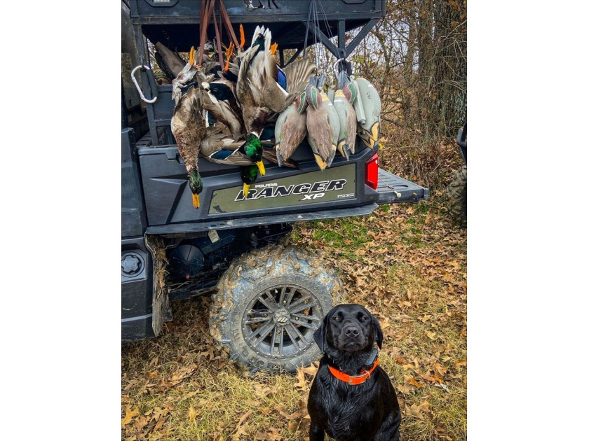 It's almost unheard of to find solid duck, deer, AND turkey - photo 23
