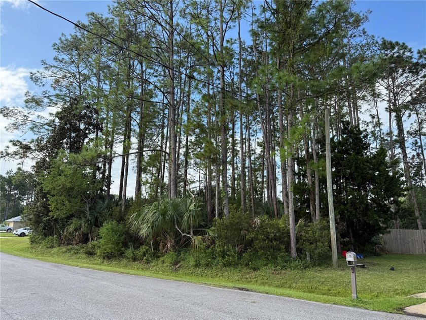 Discover a fantastic opportunity with this .23-acre wooded lot - photo 3