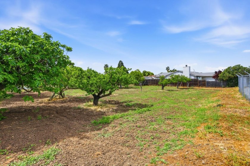 Rare opportunity to own 1.25 acres in a residential Berryessa - photo 46
