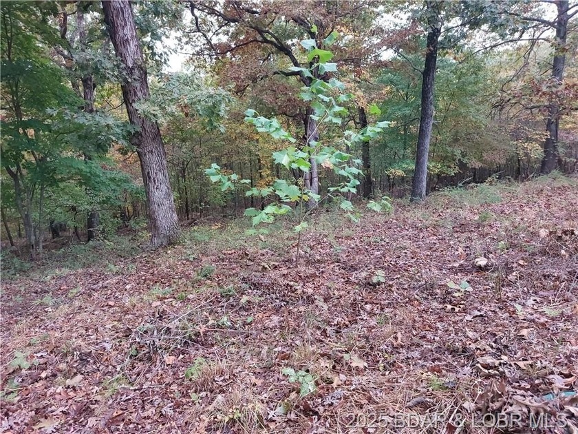 Move in ready! Well maintained 1 bedroom, 1 full bath Tiny Home - photo 16