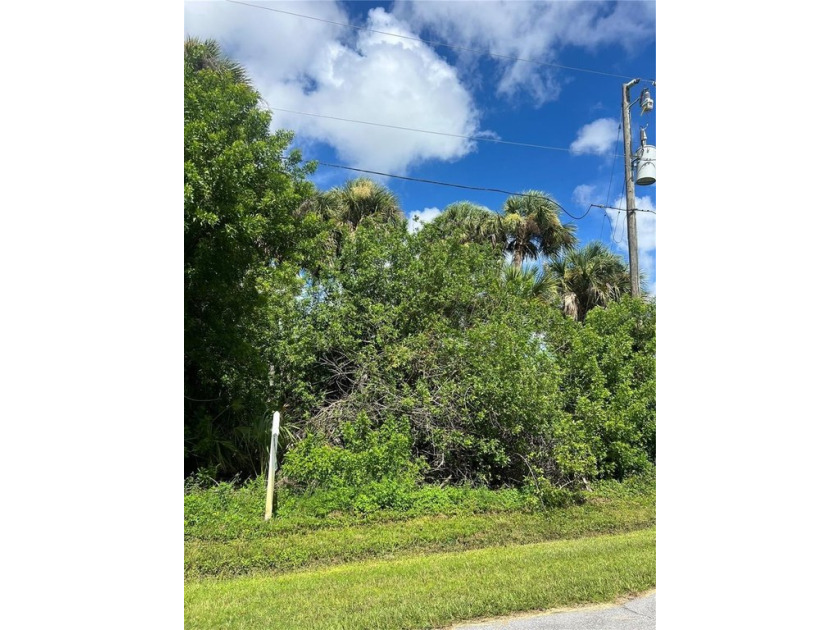 Beautiful building lot in the up-and-coming area of Rotonda - photo 3