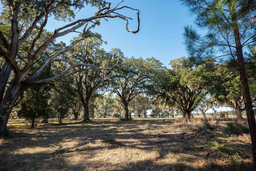 Historic Mauricena Plantation Lot number 7 - Georgetown - photo 9