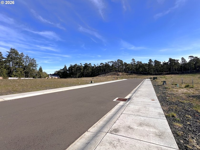 Welcome to THE LAKES, a brand-new gated community offering 15 - photo 5