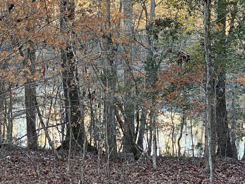 Remarkable development tract on Clouds Creek, Lake Murray. Just - photo 2