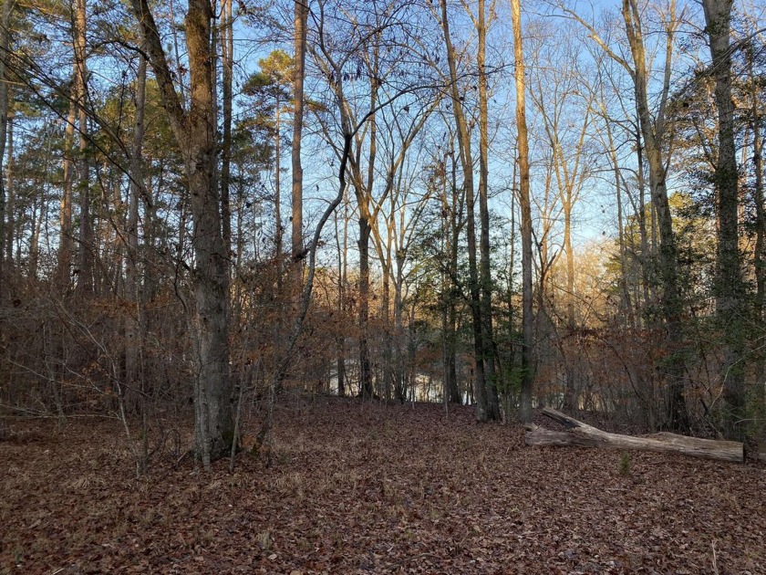 Remarkable development tract on Clouds Creek, Lake Murray. Just - photo 3
