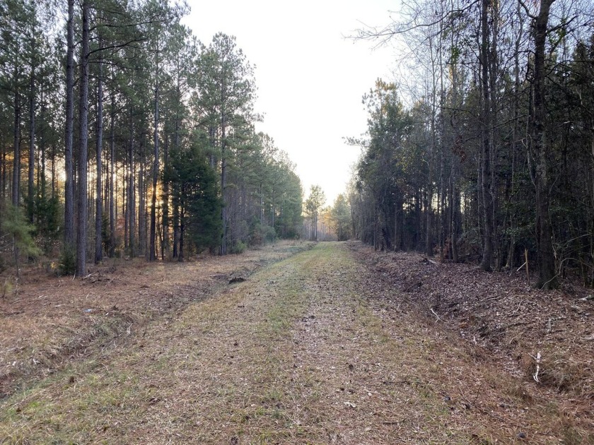 Remarkable development tract on Clouds Creek, Lake Murray. Just - photo 4
