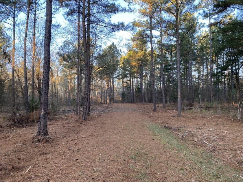 Remarkable development tract on Clouds Creek, Lake Murray. Just - photo 5