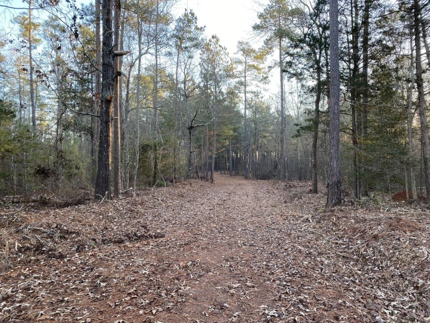 Remarkable development tract on Clouds Creek, Lake Murray. Just - photo 6