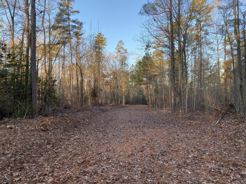 Remarkable development tract on Clouds Creek, Lake Murray. Just - photo 7