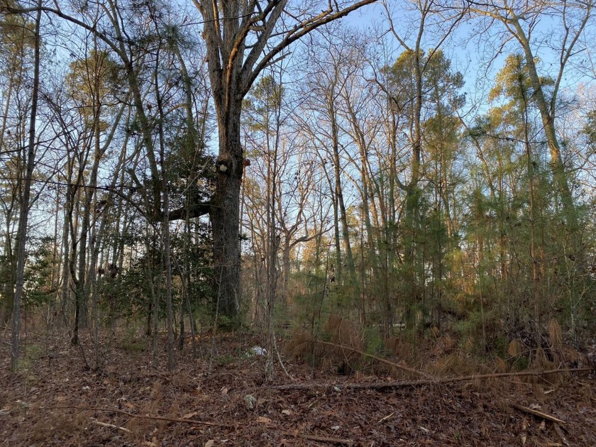 Remarkable development tract on Clouds Creek, Lake Murray. Just - photo 8