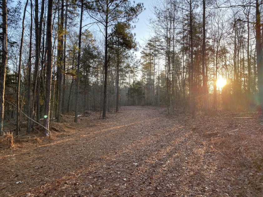 Remarkable development tract on Clouds Creek, Lake Murray. Just - photo 9