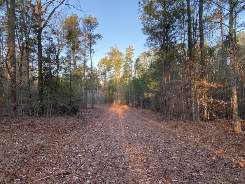 Remarkable development tract on Clouds Creek, Lake Murray. Just - photo 10