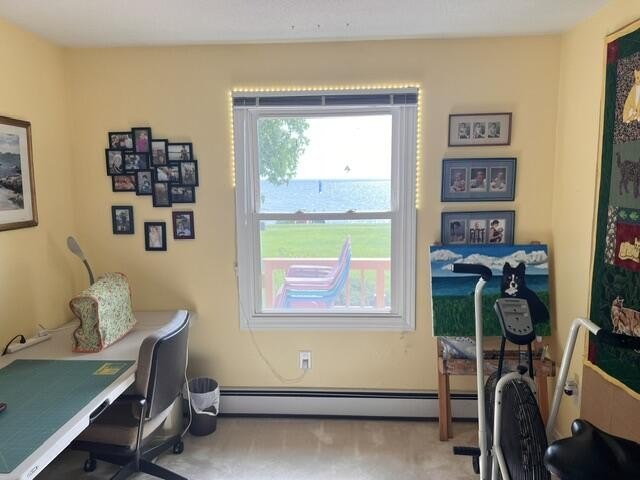Truly Move-In Ready, This Lovely Home on Lake Huron Has So Many - photo 28